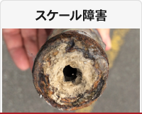 スケール障害