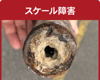 スケール障害